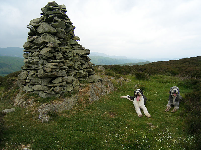 The summit of Yew Bank