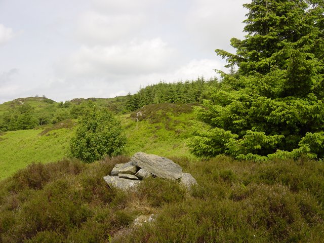 The first cairn looking to the highest summit, now screened by trees